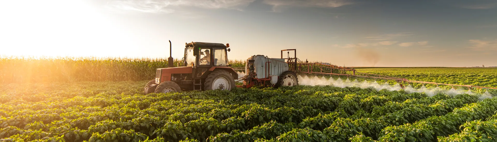 Traktor düngt ein landwirtschaftliches Feld Düngertransport und Felddüngung mit Traktor – Landwirtschaft effizient versorgt